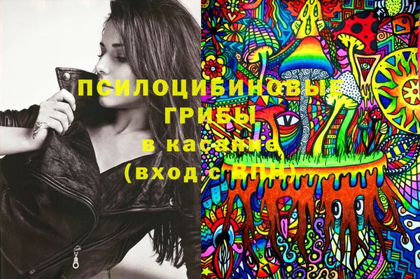 mdpv Новодвинск