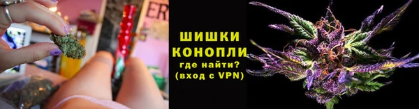 mdpv Новодвинск