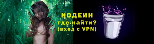 прущие крисы Новозыбков