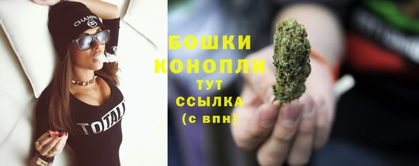 прущие крисы Новозыбков