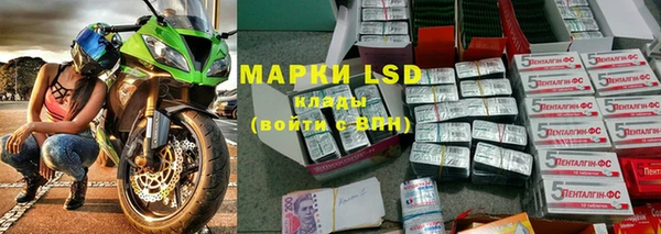 прущие крисы Новозыбков