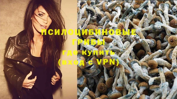 прущие крисы Новозыбков